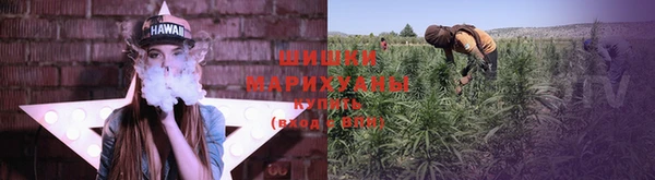 мяу мяу мука Арсеньев
