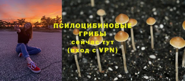 мяу мяу мука Арсеньев